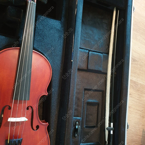 scherl and roth violin