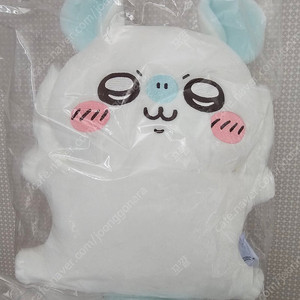 모몽가 쿠지 b상