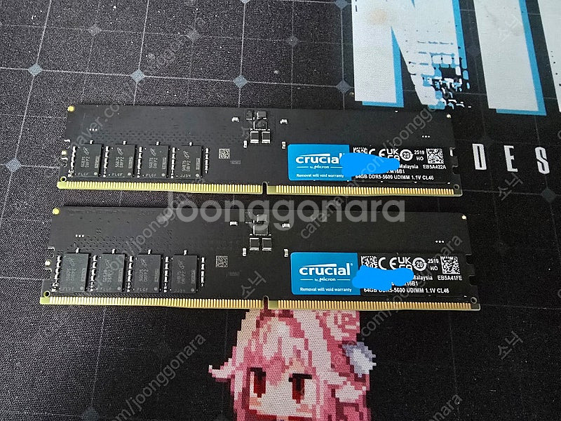 마이크론 Crucial DDR5 PC5-44800 CL...--0