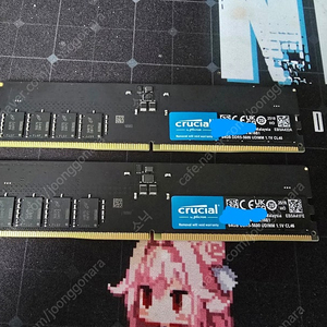 마이크론 Crucial DDR5 PC5-44800 CL46 대원씨티에스 64gb 2개 총 128gb