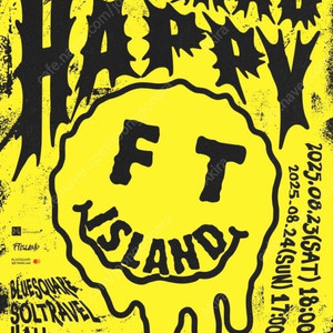 FT아일랜드 콘서트 8월 24일 일요일 2층 지정석 연석 정가양도