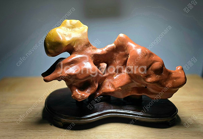 공룡 닮은 감자석--0