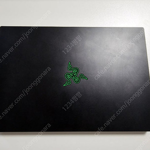 레이저 블레이드 14 (2021) 5900H RTX3070 팝니다.
