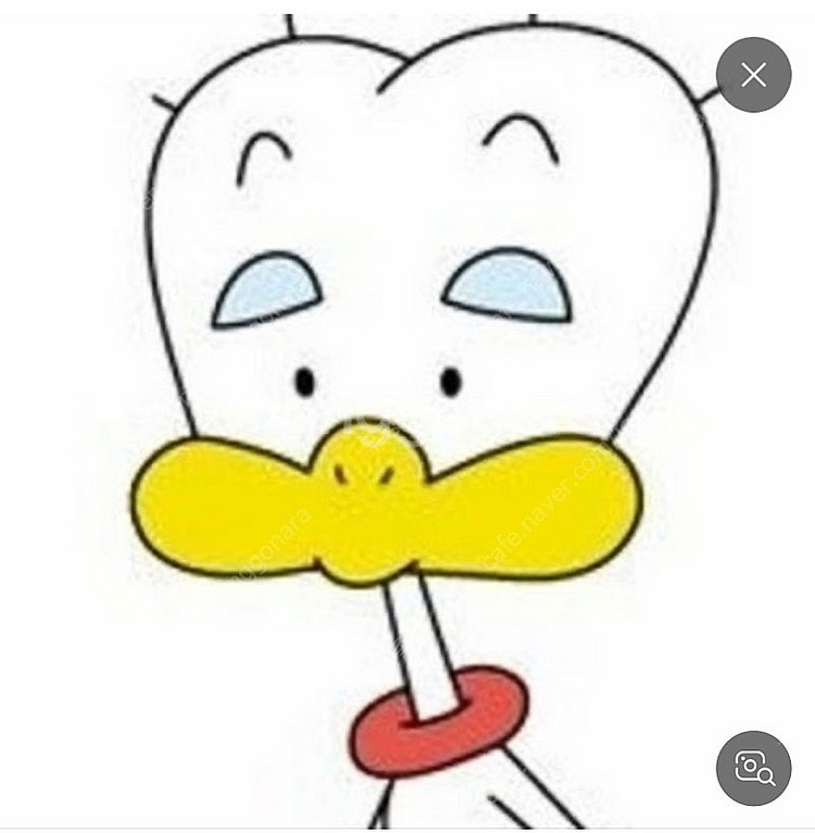 sk렌터카 내륙 이용가능쿠폰 오늘만 사봅니다--0