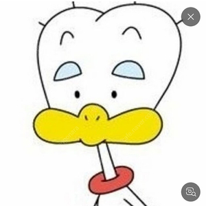 sk렌터카 내륙 이용가능쿠폰 오늘만 사봅니다