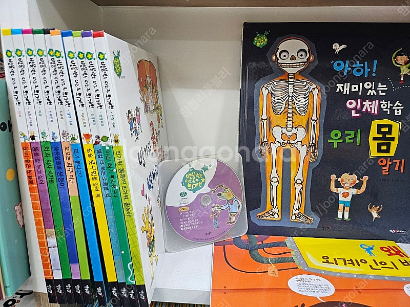 역사가 보이는 한국인물 세계인물 / 아람 지화자 우리문...--0