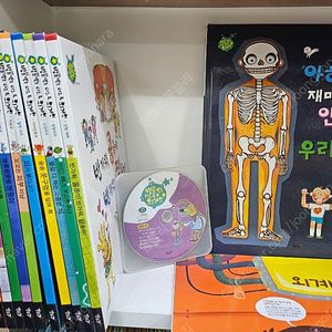 역사가 보이는 한국인물 세계인물 / 아람 지화자 우리문화 / 별똥별 인체동화 굿
