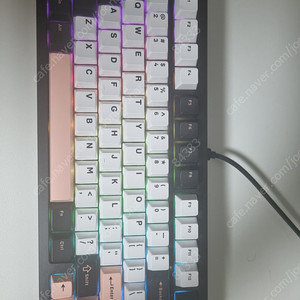 웨이브 75 청죽그린축