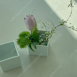 라기환 미니 사각볼 S사이즈