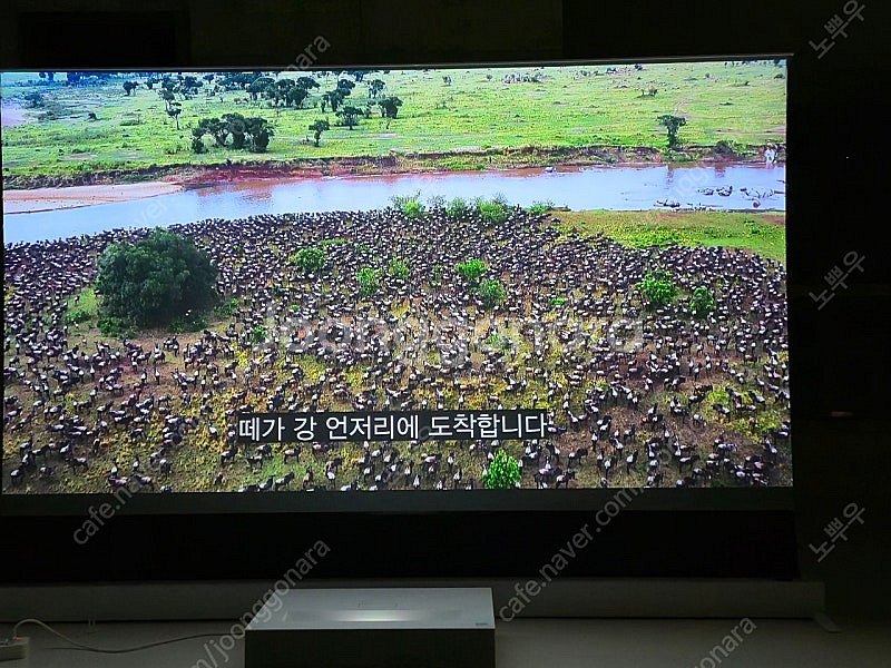 LG 시네빔 HU85LA + 삼성롤러블 스크린 120인...--3