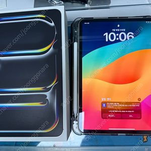 아이패드프로11 m4 256 셀룰러 실버