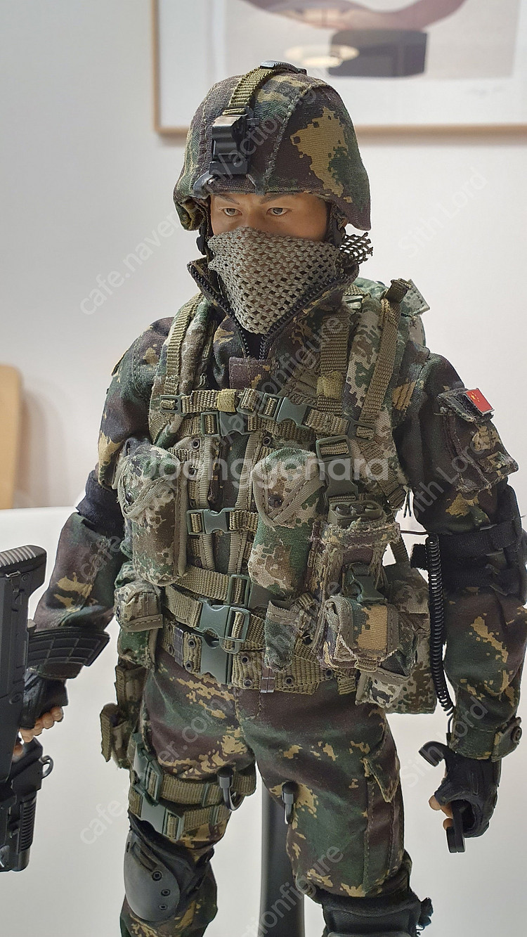 핫토이, 사이드쇼, 밀리터리, 12인치 커스텀 제품 팝...--7