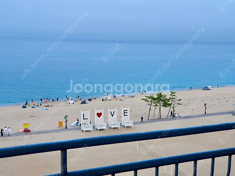 (7월8월) 쏠비치삼척.양양.진도/ 소노문.벨.휴.양평...--0