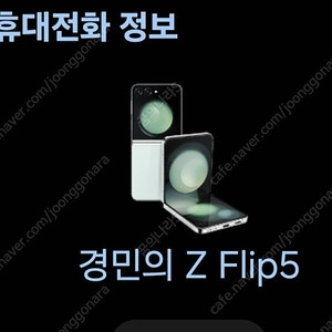 플립6