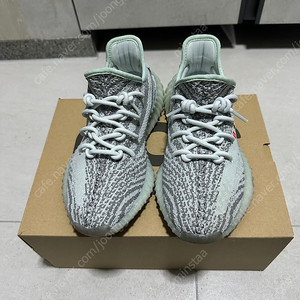 아디다스 이지부스트 블루틴트