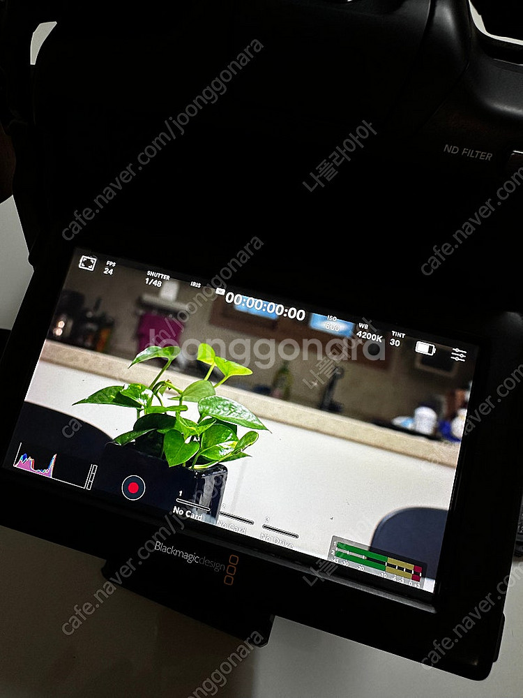 블랙매직 포켓 시네마 카메라 6k pro (bmpcc ...--5