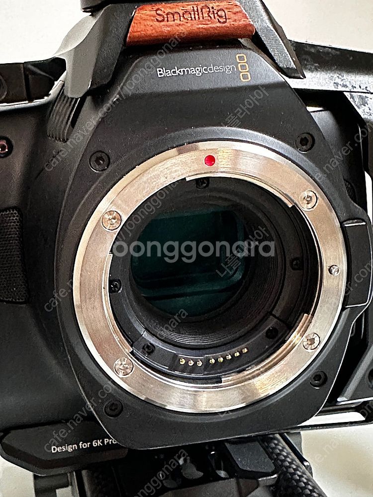 블랙매직 포켓 시네마 카메라 6k pro (bmpcc ...--6