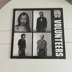 더 발룬티어스 The Volunteers LP