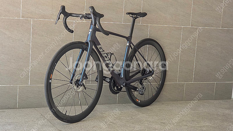 2025 자이언트 TCR 어드밴스 프로 0 di2 S ...--2