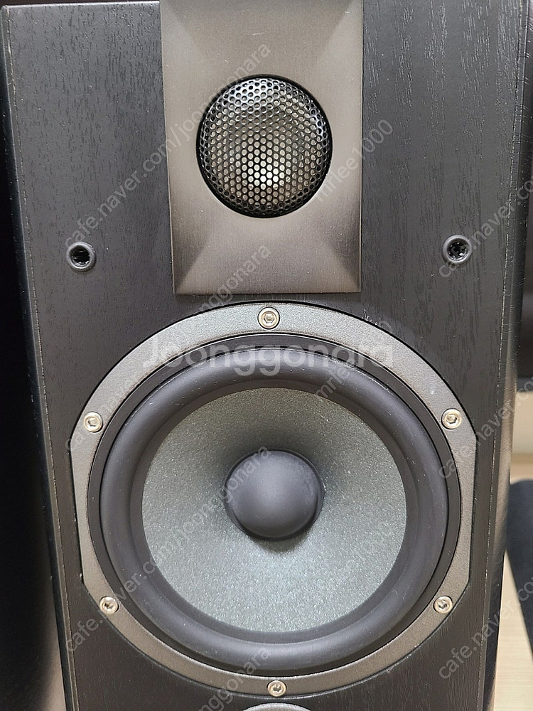 포칼(Focal) 코러스 605 스피커--2