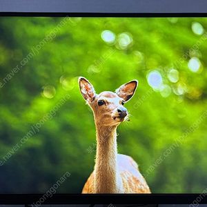한성 TFG27U16PM1152Z 모니터 팝니다