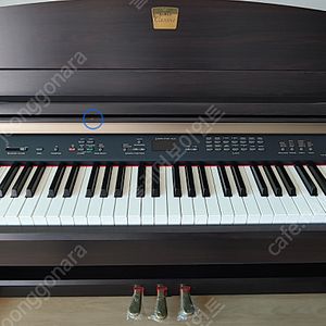 디지털 피아노 야마하 CLP-230