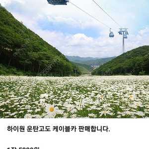 하이원 운탄고도 케이블카 4매