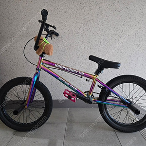 BMX 입문용 자전거
