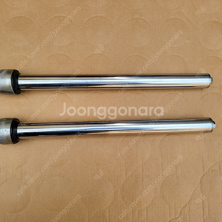 데이스타앞쇼버--3