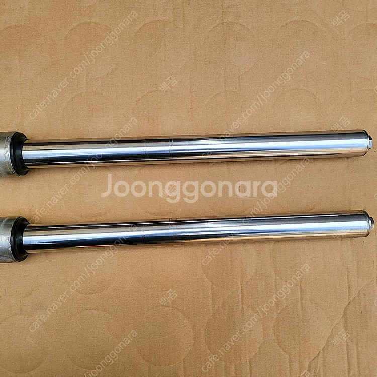 데이스타앞쇼버--5