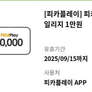 피카피시방 1만원권 2장