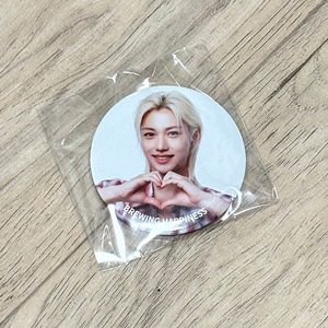 공차 필릭스 뱃지