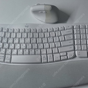 로지텍 리프트 마우스 웨이브 키보드 세트 (화이트)