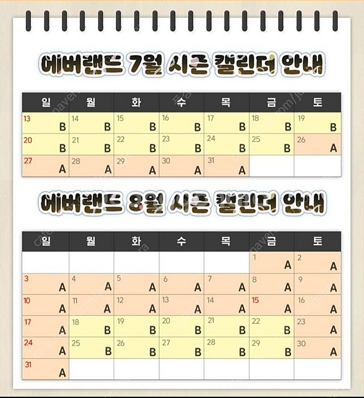 에버랜드 B구간 종일 이용권(~8/31)--1