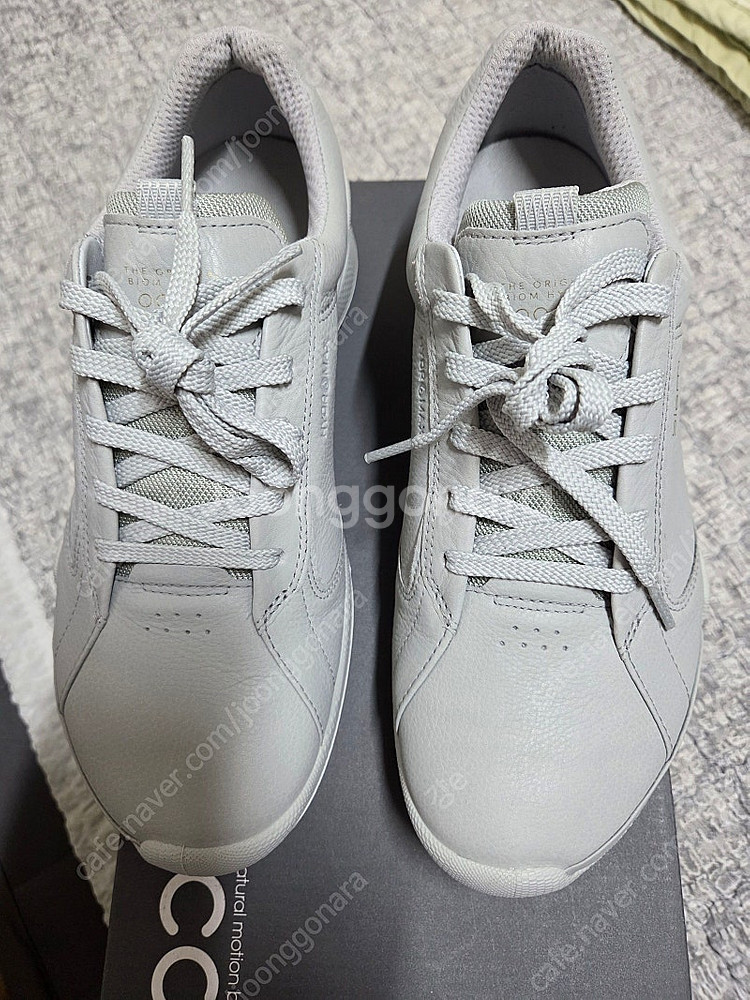 ECCO M GOLF BIOM HYBRID 남성골프화 ...--0