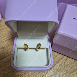 골든듀 벨리1 귀걸이