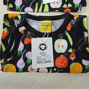 던스 블랙야채 덩가리68