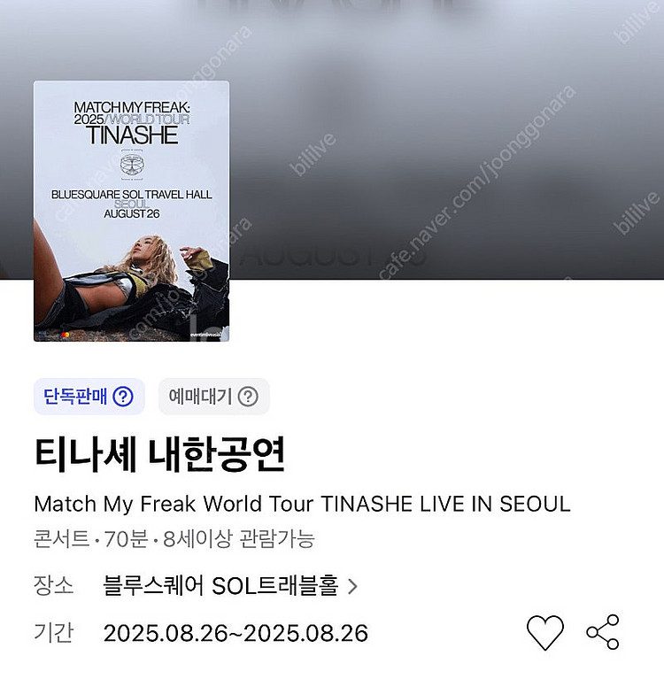 티나셰 내한공연 8/26 스탠딩 20번대 극 초 연석--0