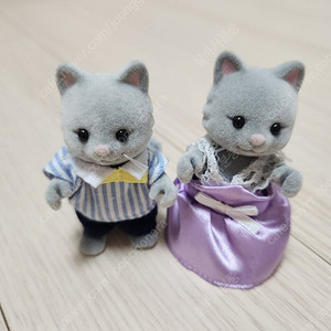 실바니안 올드 심킨스 고양이 남매 생일 파티