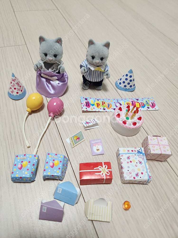 실바니안 올드 심킨스 고양이 남매 생일 파티--3