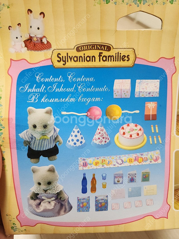 실바니안 올드 심킨스 고양이 남매 생일 파티--5