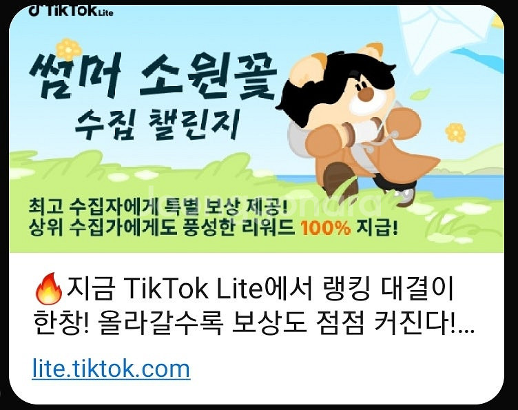 틱톡라이트 소원꽃 미접속 4개 일괄 2400원--0