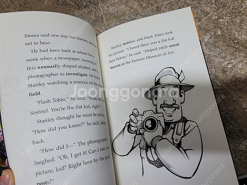잠수네. Flat Stanley. Wayside ach...--1