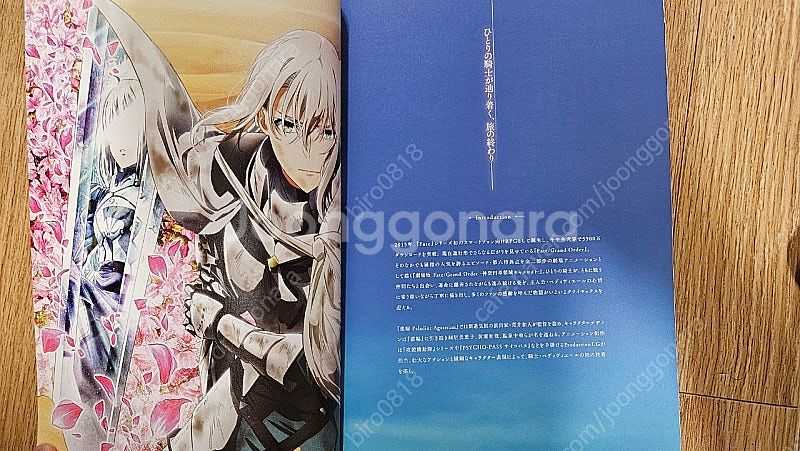 Fate Grand Order - 페이트 그랜드 오더 ...--1