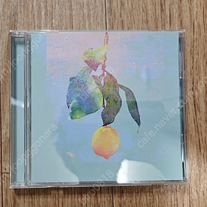 요네즈 켄시 레몬 CD 판매합니다