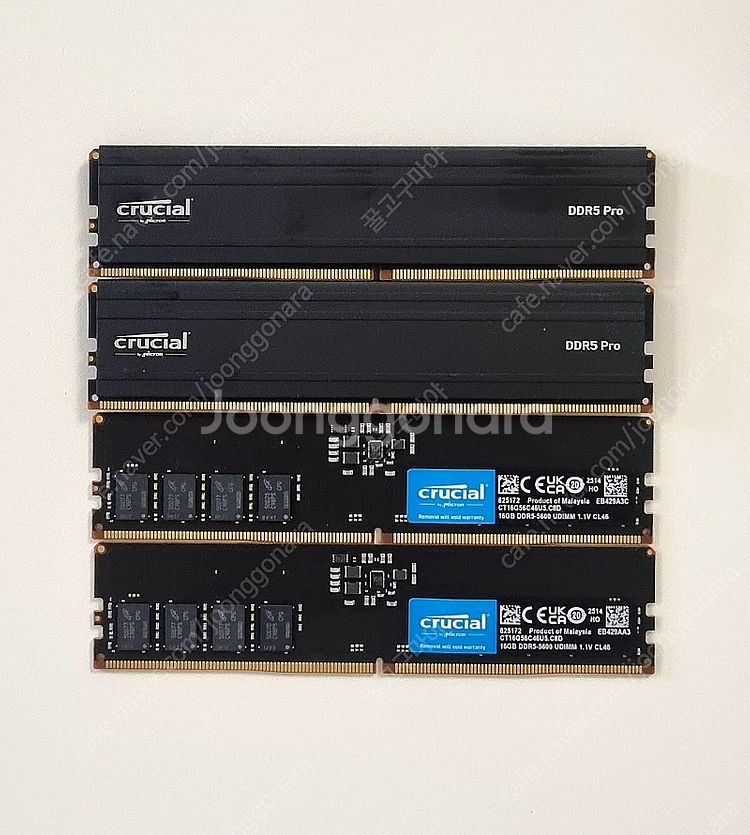 Crucial 램 DDR5 5600 16G 25년 구매...--0