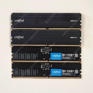 Crucial 램 DDR5 5600 16G 25년 구매 RAM 4개