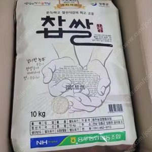 선착순)24년산 농협 찹쌀10kgx4포(총40kg)무료배송198000원 60kg 무료배송295000원