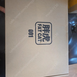 팻켓 퍼스트건담2.0팝니다