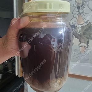 2.4L 석청꿀 저렴하게 판매합니다.